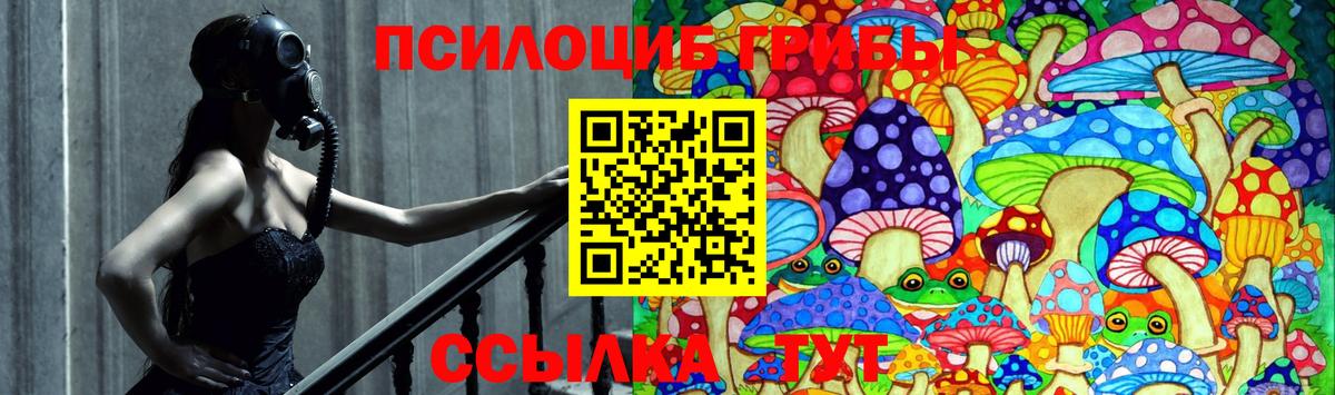 Галлюциногенные грибы Cubensis Тосно