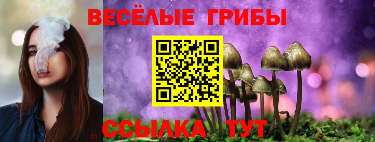 Галлюциногенные грибы прущие грибы  Вход с VPN  Тосно  Галлюциногенные грибы Cubensis 
